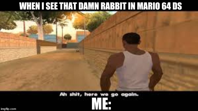 can any of you guys  relate? | WHEN I SEE THAT DAMN RABBIT IN MARIO 64 DS; ME: | image tagged in aw shit here we go again | made w/ Imgflip meme maker