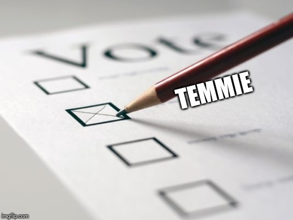 Voting Ballot | TEMMIE | image tagged in voting ballot | made w/ Imgflip meme maker