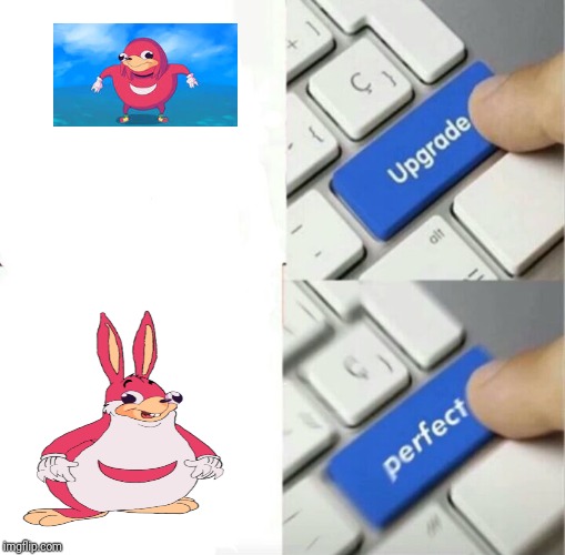 Upgraded to Perfection | image tagged in upgraded to perfection | made w/ Imgflip meme maker