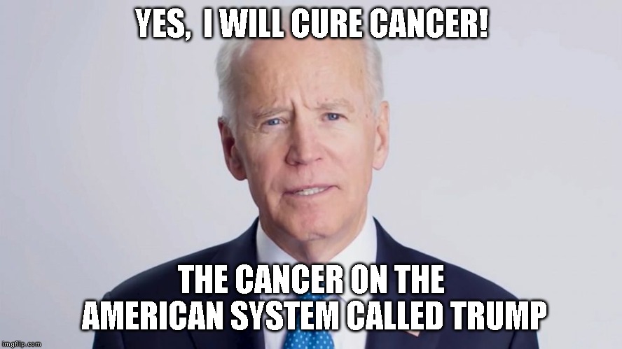 Truth will trump Lies | YES,  I WILL CURE CANCER! THE CANCER ON THE AMERICAN SYSTEM CALLED TRUMP | image tagged in biden 2020,joe biden,dump trump | made w/ Imgflip meme maker