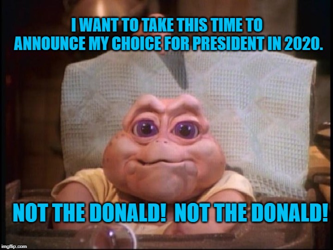 not the mama | I WANT TO TAKE THIS TIME TO ANNOUNCE MY CHOICE FOR PRESIDENT IN 2020. NOT THE DONALD!  NOT THE DONALD! | image tagged in not the mama | made w/ Imgflip meme maker