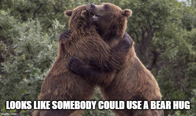 Bear hug | LOOKS LIKE SOMEBODY COULD USE A BEAR HUG | image tagged in bear hug | made w/ Imgflip meme maker