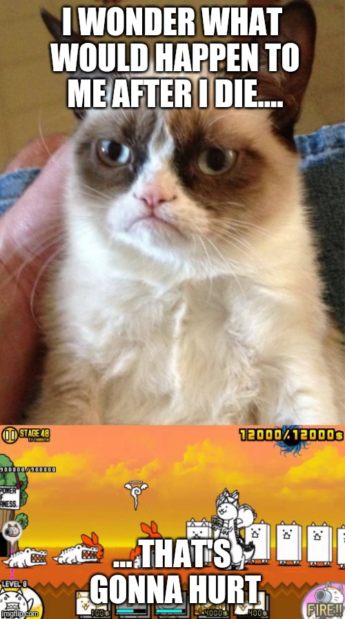 I WONDER WHAT WOULD HAPPEN TO ME AFTER I DIE.... ... THAT'S GONNA HURT | image tagged in memes,grumpy cat | made w/ Imgflip meme maker