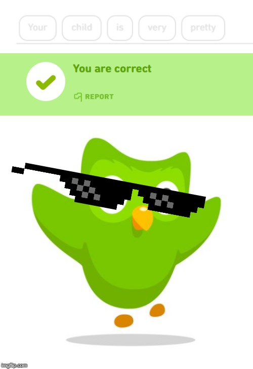 Duo is very proud of their child | image tagged in duolingo | made w/ Imgflip meme maker