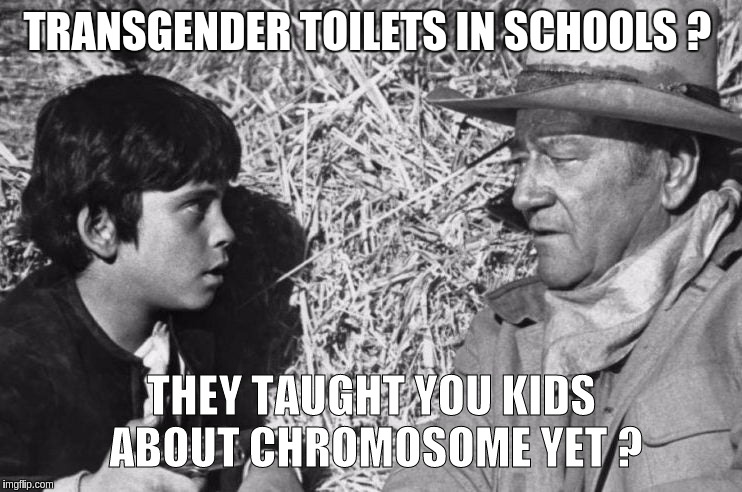 #DarknesstoLight | TRANSGENDER TOILETS IN SCHOOLS ? THEY TAUGHT YOU KIDS ABOUT CHROMOSOME YET ? | image tagged in the great awakening,america,uk,great britain,common sense,transgender bathroom | made w/ Imgflip meme maker