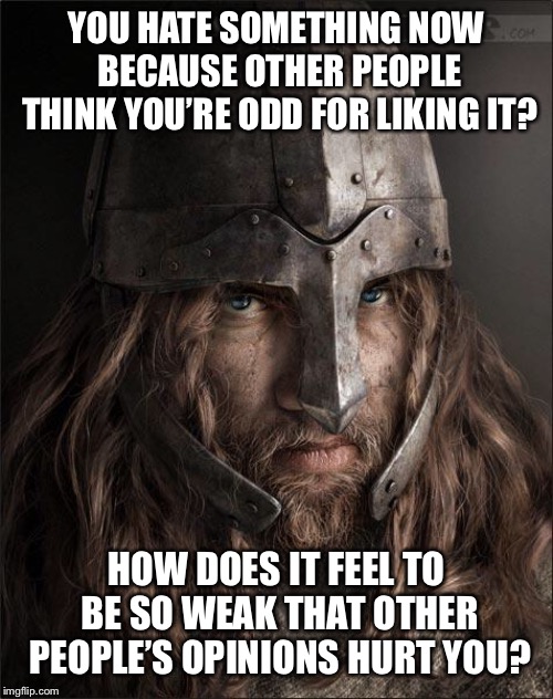 viking | YOU HATE SOMETHING NOW BECAUSE OTHER PEOPLE THINK YOU’RE ODD FOR LIKING IT? HOW DOES IT FEEL TO BE SO WEAK THAT OTHER PEOPLE’S OPINIONS HURT YOU? | image tagged in viking | made w/ Imgflip meme maker