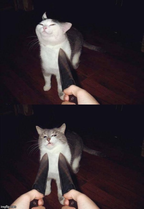 Smug cat double knife Blank Meme Template