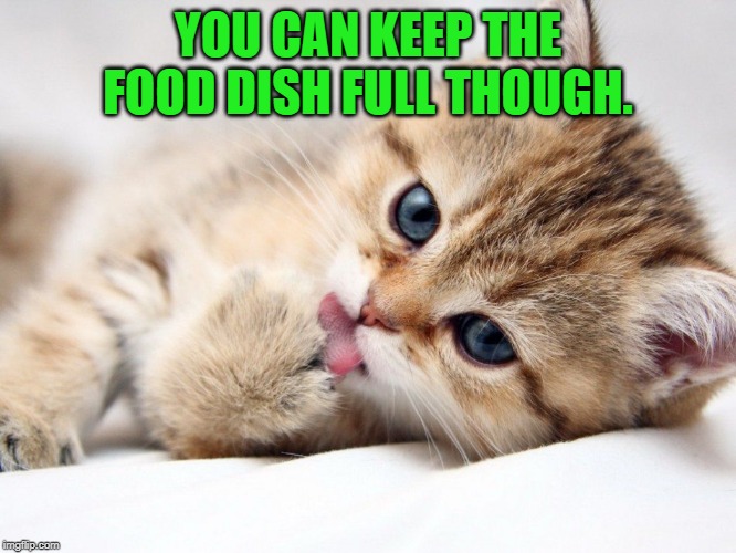 YOU CAN KEEP THE FOOD DISH FULL THOUGH. | made w/ Imgflip meme maker
