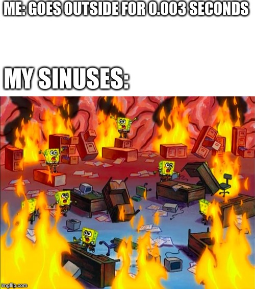 Spongebob Brain Chaos | ME: GOES OUTSIDE FOR 0.003 SECONDS; MY SINUSES: | image tagged in spongebob brain chaos,summer | made w/ Imgflip meme maker