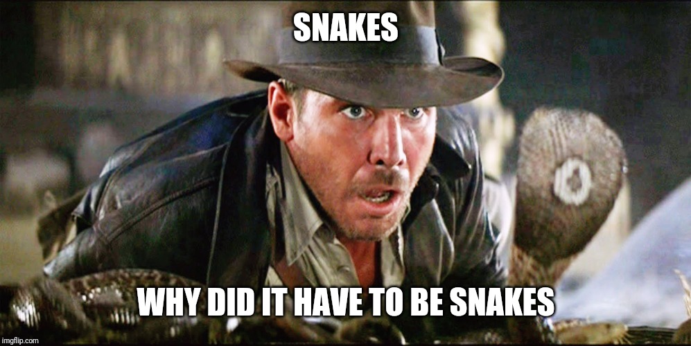 Indiana Jones Snakes | SNAKES WHY DID IT HAVE TO BE SNAKES | image tagged in indiana jones snakes | made w/ Imgflip meme maker