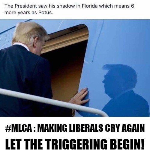 New Hashtag: #MLCA | #MLCA : MAKING LIBERALS CRY AGAIN | image tagged in potus45,trump 2020,hashtag,triggered liberal,snowflakes,who wants to be a millennial | made w/ Imgflip meme maker