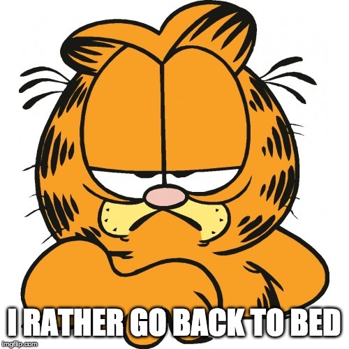 I RATHER GO BACK TO BED | image tagged in garfield | made w/ Imgflip meme maker