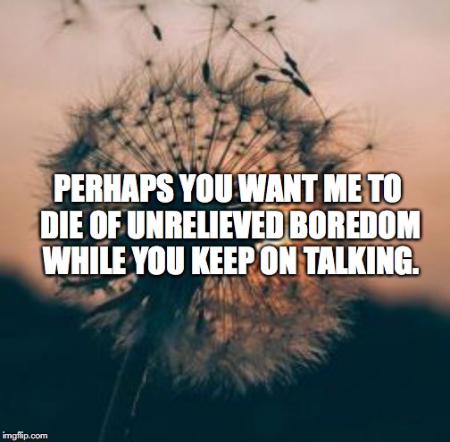 PERHAPS YOU WANT ME TO DIE OF UNRELIEVED BOREDOM WHILE YOU KEEP ON TALKING. | made w/ Imgflip meme maker