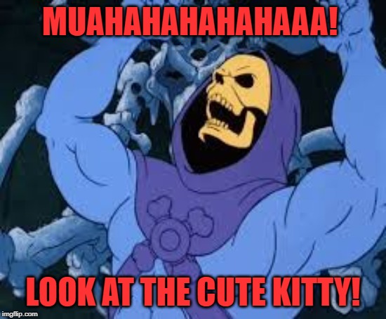Evil Laugh Skeletor | MUAHAHAHAHAHAAA! LOOK AT THE CUTE KITTY! | image tagged in evil laugh skeletor | made w/ Imgflip meme maker
