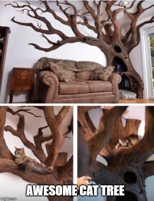 talk to the branch manager | AWESOME CAT TREE | image tagged in cat,tree | made w/ Imgflip meme maker