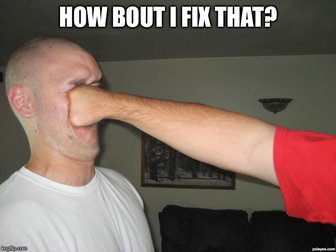 Face punch | HOW BOUT I FIX THAT? | image tagged in face punch | made w/ Imgflip meme maker