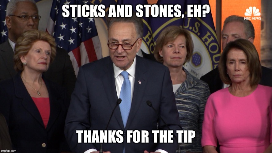 Democrat congressmen | STICKS AND STONES, EH? THANKS FOR THE TIP | image tagged in democrat congressmen | made w/ Imgflip meme maker