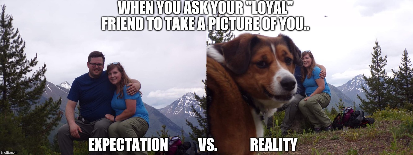 Dog Photo-bomb | WHEN YOU ASK YOUR "LOYAL" FRIEND TO TAKE A PICTURE OF YOU.. EXPECTATION           VS.            REALITY | image tagged in dogs,photobombs,expectations vs reality | made w/ Imgflip meme maker