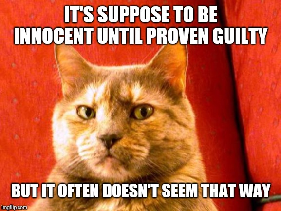 Suspicious Cat Meme | IT'S SUPPOSE TO BE INNOCENT UNTIL PROVEN GUILTY BUT IT OFTEN DOESN'T SEEM THAT WAY | image tagged in memes,suspicious cat | made w/ Imgflip meme maker