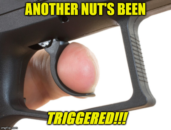 Trigger | ANOTHER NUT'S BEEN; TRIGGERED!!! | image tagged in trigger | made w/ Imgflip meme maker