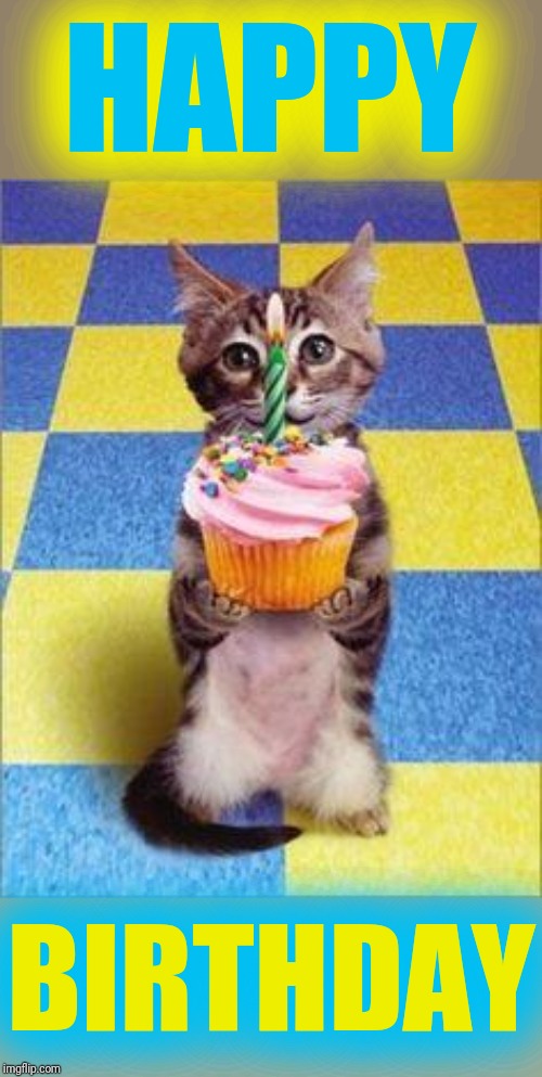 Happy Birthday Cat | HAPPY BIRTHDAY | image tagged in happy birthday cat | made w/ Imgflip meme maker