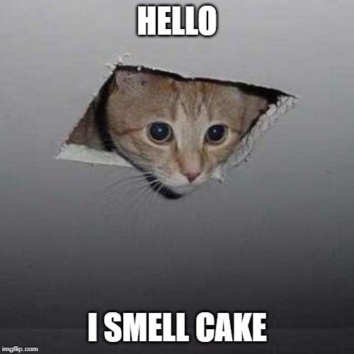 Ceiling Cat | HELLO; I SMELL CAKE | image tagged in memes,ceiling cat | made w/ Imgflip meme maker