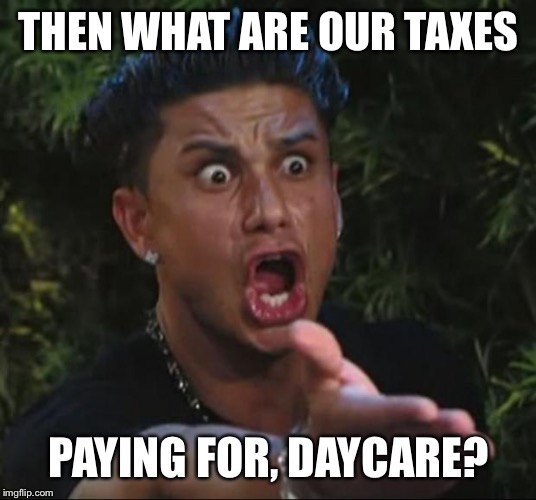 DJ Pauly D Meme | THEN WHAT ARE OUR TAXES PAYING FOR, DAYCARE? | image tagged in memes,dj pauly d | made w/ Imgflip meme maker