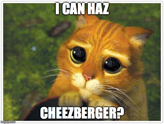 Shrek Cat | I CAN HAZ; CHEEZBERGER? | image tagged in memes,shrek cat | made w/ Imgflip meme maker