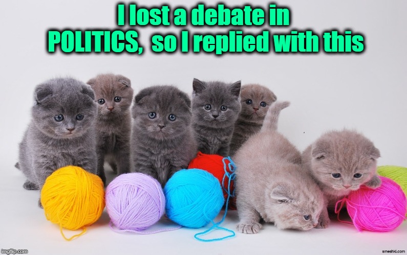 He didn't reply, but I think he upvoted it. LOL | I lost a debate in POLITICS,  so I replied with this | image tagged in kittens,adorable,cats | made w/ Imgflip meme maker