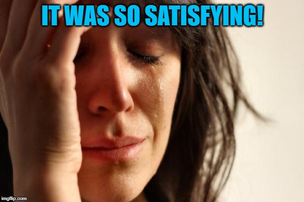 First World Problems Meme | IT WAS SO SATISFYING! | image tagged in memes,first world problems | made w/ Imgflip meme maker