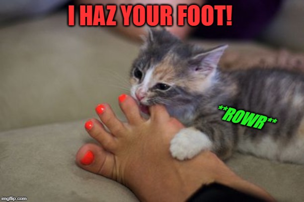 I HAZ YOUR FOOT! **ROWR** | made w/ Imgflip meme maker