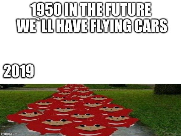 Blank White Template | 1950 IN THE FUTURE WE`LL HAVE FLYING CARS; 2019 | image tagged in blank white template | made w/ Imgflip meme maker
