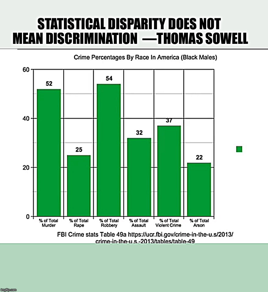 Statistical Disparity Does Not Mean Discrimination | STATISTICAL DISPARITY DOES NOT MEAN DISCRIMINATION 
—THOMAS SOWELL | image tagged in politics,common sense,facts | made w/ Imgflip meme maker
