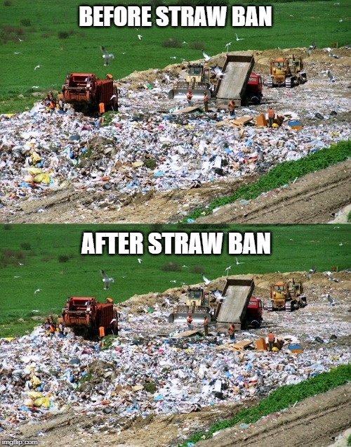 Landfill Before and After | BEFORE STRAW BAN; AFTER STRAW BAN | image tagged in landfill before and after | made w/ Imgflip meme maker