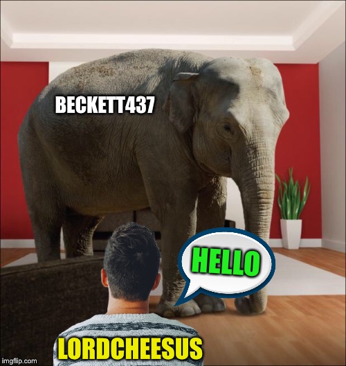 I’m not saying anybody is an elephant literally. It could be the other way round for all I care. |  BECKETT437; HELLO; LORDCHEESUS | image tagged in elephant in the room,beckett437,lordcheesus,one does not simply,ignore,forever | made w/ Imgflip meme maker