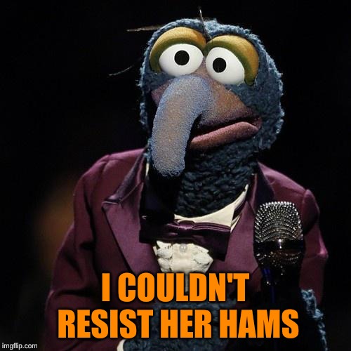 Gonzo Talks | I COULDN'T RESIST HER HAMS | image tagged in gonzo talks | made w/ Imgflip meme maker