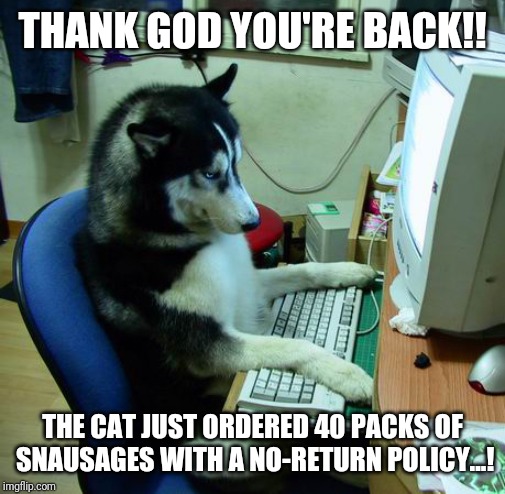 I Have No Idea What I Am Doing Meme | THANK GOD YOU'RE BACK!! THE CAT JUST ORDERED 40 PACKS OF SNAUSAGES WITH A NO-RETURN POLICY...! | image tagged in memes,i have no idea what i am doing | made w/ Imgflip meme maker