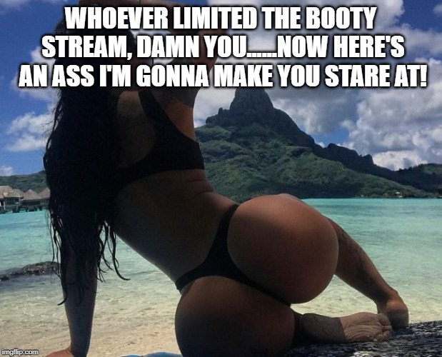 Booty Stream Limited? For Shame! | WHOEVER LIMITED THE BOOTY STREAM, DAMN YOU......NOW HERE'S AN ASS I'M GONNA MAKE YOU STARE AT! | image tagged in booty | made w/ Imgflip meme maker