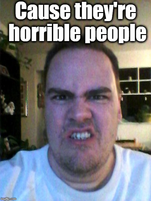 Grrr | Cause they're horrible people | image tagged in grrr | made w/ Imgflip meme maker