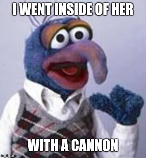 gonzo | I WENT INSIDE OF HER WITH A CANNON | image tagged in gonzo | made w/ Imgflip meme maker