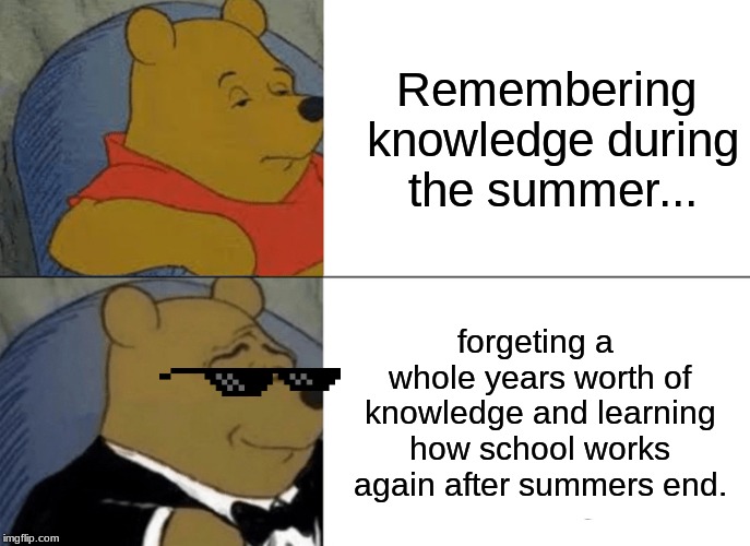 Summer in a nutshell | Remembering knowledge during the summer... forgeting a whole years worth of knowledge and learning how school works again after summers end. | image tagged in memes,tuxedo winnie the pooh | made w/ Imgflip meme maker