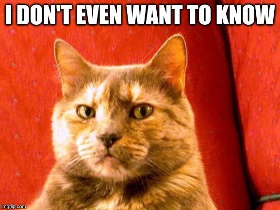 Suspicious Cat Meme | I DON'T EVEN WANT TO KNOW | image tagged in memes,suspicious cat | made w/ Imgflip meme maker