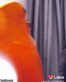 image tagged in gifs | made w/ Imgflip video-to-gif maker