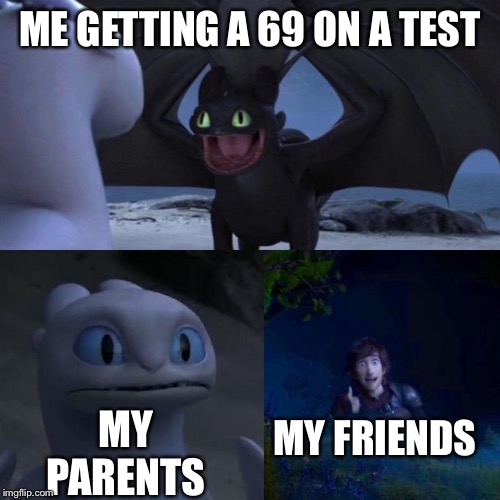 Toothless presents himself | ME GETTING A 69 ON A TEST; MY PARENTS; MY FRIENDS | image tagged in toothless presents himself | made w/ Imgflip meme maker