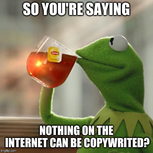 Kermit Sarcasm | SO YOU'RE SAYING NOTHING ON THE INTERNET CAN BE COPYWRITED? | image tagged in kermit sarcasm | made w/ Imgflip meme maker