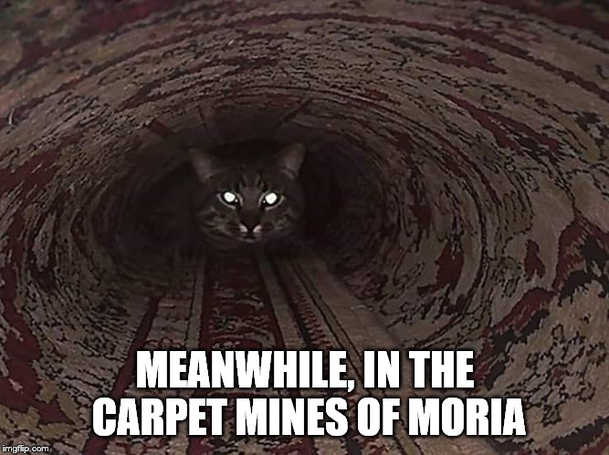 The Deep Mines, something stirs. | MEANWHILE, IN THE CARPET MINES OF MORIA | image tagged in cat,lotr | made w/ Imgflip meme maker