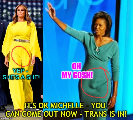 OH MY GOSH! YEP - SHE'S A SHE! IT'S OK MICHELLE - YOU CAN COME OUT NOW - TRANS IS IN! | made w/ Imgflip meme maker
