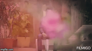 image tagged in gifs | made w/ Imgflip video-to-gif maker