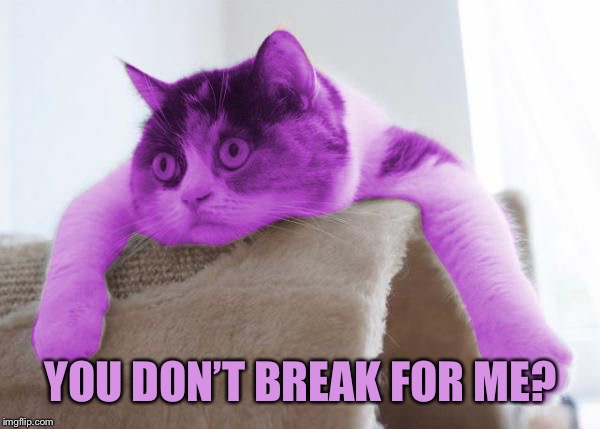 RayCat Stare | YOU DON’T BREAK FOR ME? | image tagged in raycat stare | made w/ Imgflip meme maker