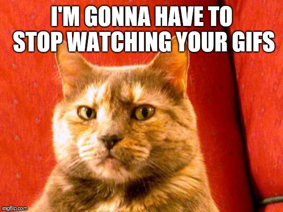 Suspicious Cat Meme | I'M GONNA HAVE TO STOP WATCHING YOUR GIFS | image tagged in memes,suspicious cat | made w/ Imgflip meme maker